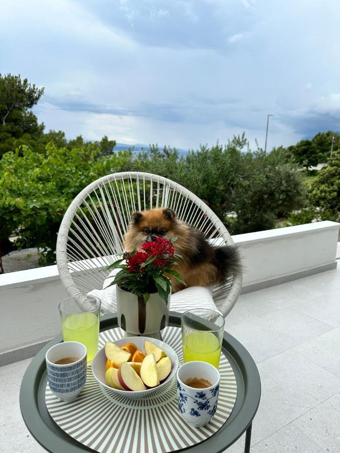 Olive View Apartment Brela Kültér fotó